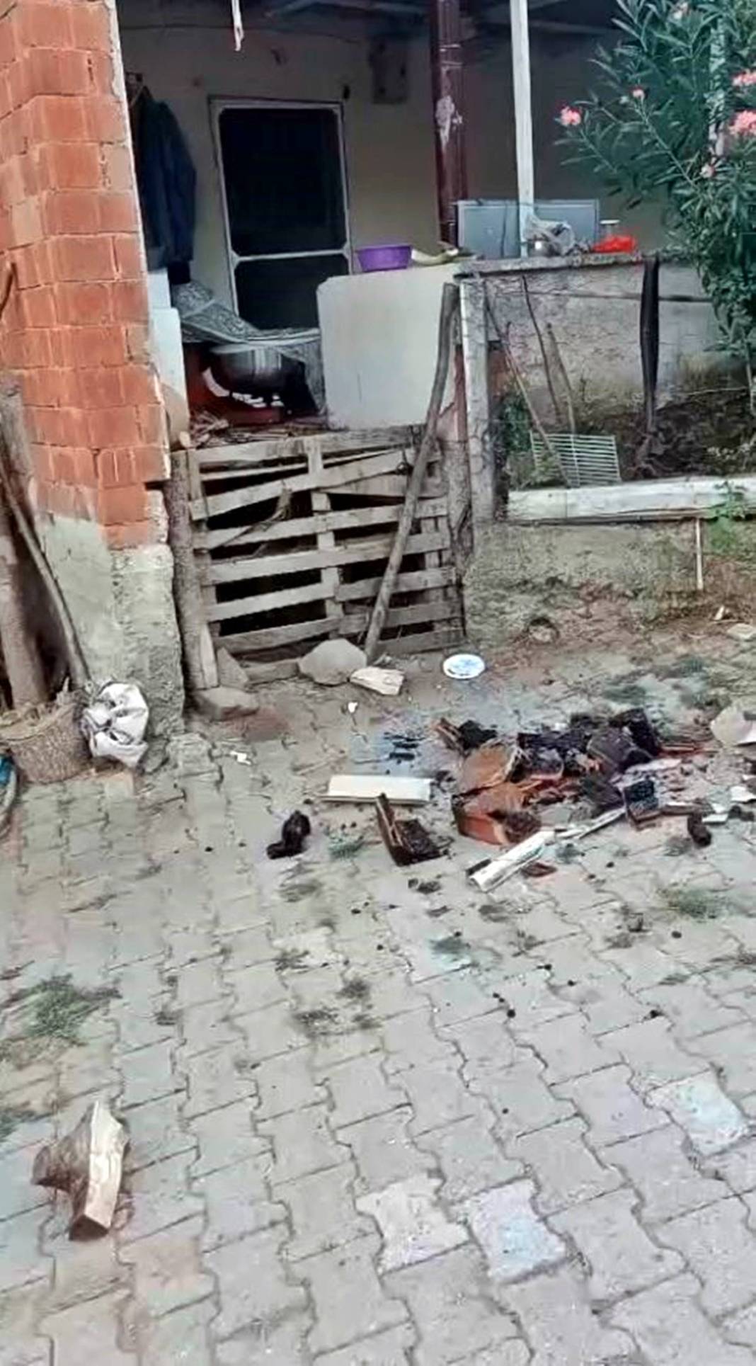 Balıkesir depremi, İstanbul depremini tetikler mi? Deprem uzmanlarından çarpıcı açıklamalar! 24